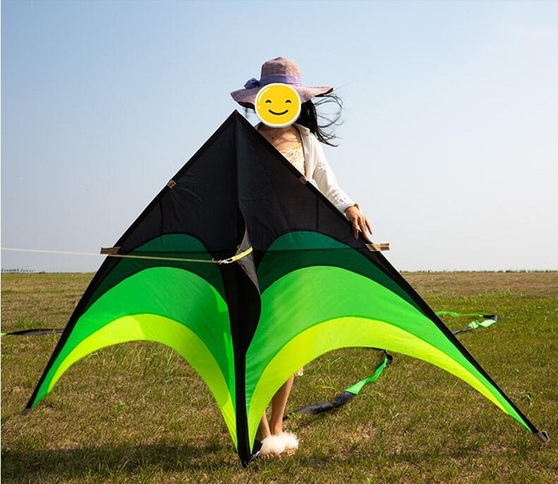 Free shipping large delta kites flying toys for children kites handle line outdoor sports kites nylon professional wind kites