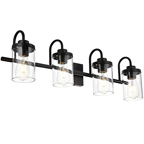 TODOLUZ Bathroom Vanity Light Fixtures with 4-Lights Clear Glass Shades, Black Vanity Lighting Over Mirror for Kitchen Bedroom