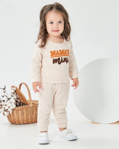 Mikrdoo Toddler Girls Clothes 2T 3T Baby Girl Outfits Long Sleeve Sweatshirt Top Pants Set Little Girl Clothes Fall Winter Clotheing 2t-3t Apricot