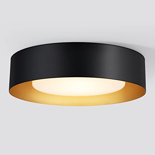 Vikaey Modern Flush Mount Ceiling Light, Minimalist Close to Ceiling Lighting Fixture, Acrylic Ceiling lamp for Living Room Dinning Room Bedroom, Black, 16.5''