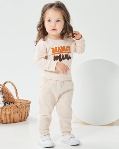 Mikrdoo Toddler Girls Clothes 2T 3T Baby Girl Outfits Long Sleeve Sweatshirt Top Pants Set Little Girl Clothes Fall Winter Clotheing 2t-3t Apricot