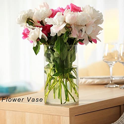 12 Pack 𝑳𝒂𝒓𝒈𝒆𝒓 Glass Cylinder Vases 6 Inch Tall Clear Flower Vase Hurricane Floating Candle Holder for Table Centerpiece Wedding Home Deco