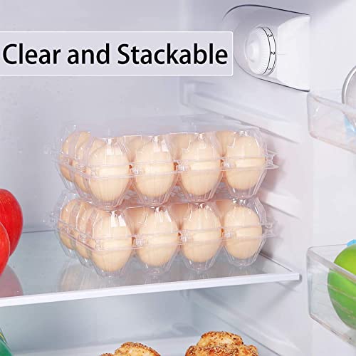 60 Pack Plastic Egg Cartons Cheap Bulk 1 Dozen Clear Empty Egg Cartons for Chicken Eggs, Reusable Egg Carton for Home Ranch Chicken Farm, Commercial Business Market Display, 3x4 Grids, M