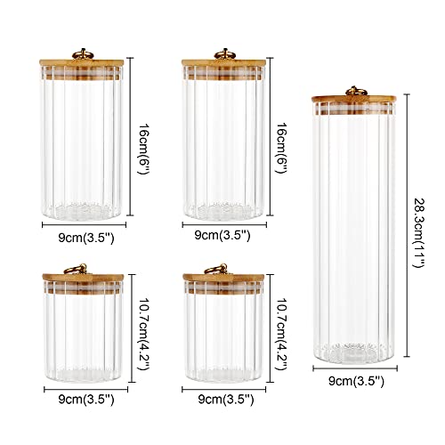 FANTESTICRYAN Glass Storage Jars Set of 5, Decorative Coffee Bar Container with Airtight Bamboo Lid Metal Ring for Home Kitchen Storing Candy, Cookie, Pasta, Nuts, Oatmeal and Bathroom Salt