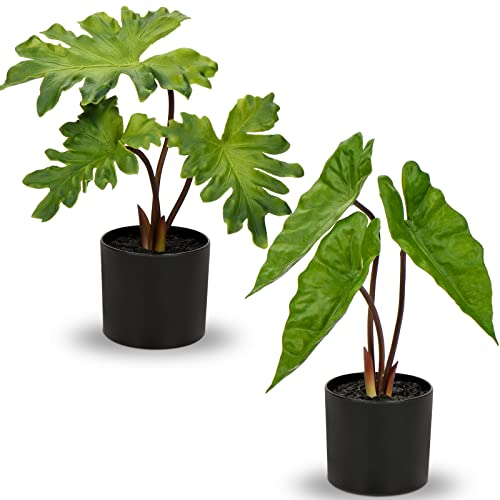 Fake Plants Set of 2 Potted Faux Monstera Leaf Artificial Alocasia Plant in Matte Black Pot Greenery Aesthetic House Plants for Home Decor Indoor Bathroom Table Shelf Desk Office Decoration