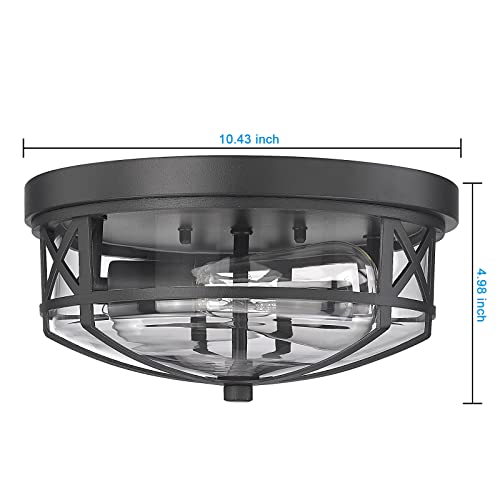 Darkaway Ceiling Light Fixtures Flush Mount Light Fixtures Ceiling with Clear Glass Shade, Indoor Outdoor Ceiling Light for Hallway Entryway Bedroom Porch Kitchen 2-Light E26