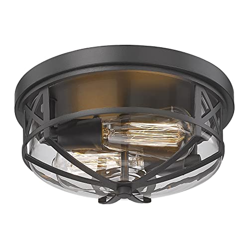 Darkaway Ceiling Light Fixtures Flush Mount Light Fixtures Ceiling with Clear Glass Shade, Indoor Outdoor Ceiling Light for Hallway Entryway Bedroom Porch Kitchen 2-Light E26