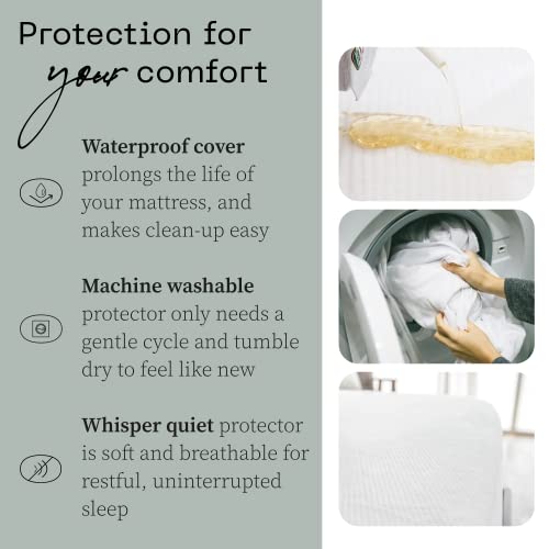 Coop Home Goods Ultra-Luxe Mattress Protector Queen - Smooth Top Mattress Pad, Waterproof Mattress Cover, Up to 18 Inches Deep, Machine Washable Mattress Topper, Noiseless and Comfort - Queen (60x80)