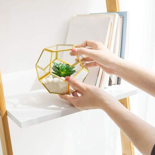 Mkono Artificial Succulent in 3 Pack Mini Glass Geometric Terrarium, Miniature Potted Faux Plant Bookshelf Desk Boho Office Room Decor for Women Girls Dorm Gift Idea, Gold