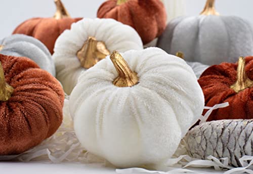 Velvet Pumpkins, 18 PCS Fall Table Decorations for Home, Artificial Pumpkins Set for Fall Autumn Harvest, Thanksgiving, Wedding