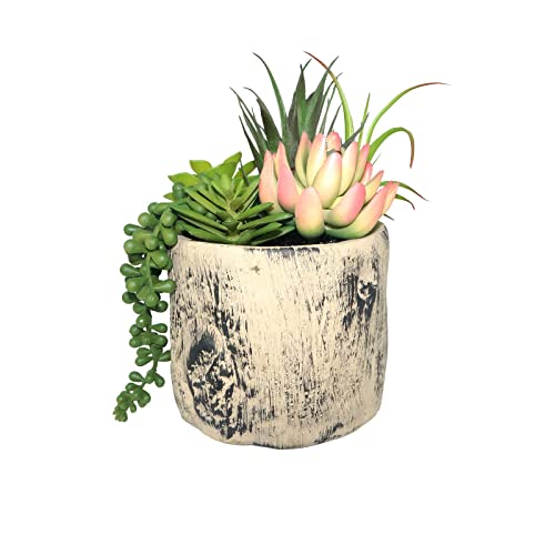 Hisow Succulents Plants Artificial, Faux Succulent Plants in Elegant Ceramic Pot Assorted Faux Potted Succulent Plant for Home Living Rooms Bedroom Décor (7.9)