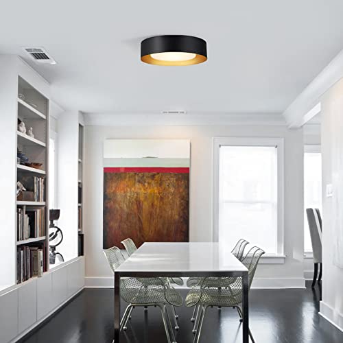 Vikaey Modern Flush Mount Ceiling Light, Minimalist Close to Ceiling Lighting Fixture, Acrylic Ceiling lamp for Living Room Dinning Room Bedroom, Black, 16.5''