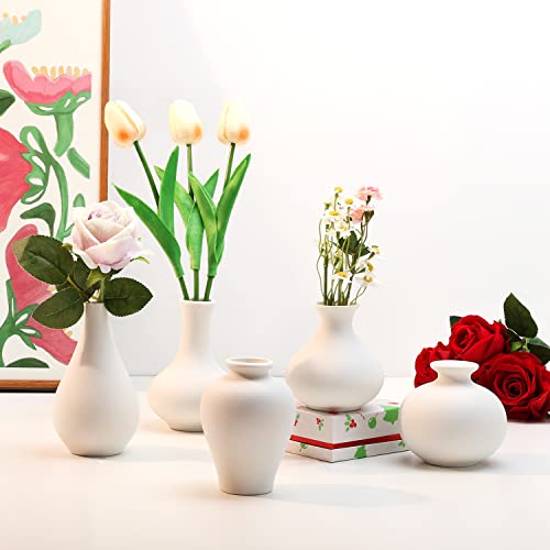 Koilria Ceramic Vase Set - 5 White Vases Mini Bud Vases in Bulk Small Ceramic Flower Vase for Home Decor Centerpieces Modern Decorative Cute Tiny Vase for Pampas Grass