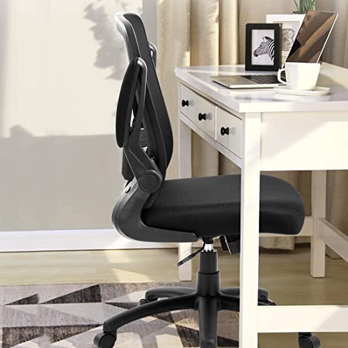 Ergonomic Desk Task Chair Clearance with Adjustable Height, Lumbar Support, High Back Mesh Computer Executive Chair with Flip up Armrests for Home Office - 300lb