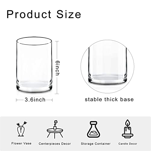 12 Pack 𝑳𝒂𝒓𝒈𝒆𝒓 Glass Cylinder Vases 6 Inch Tall Clear Flower Vase Hurricane Floating Candle Holder for Table Centerpiece Wedding Home Deco