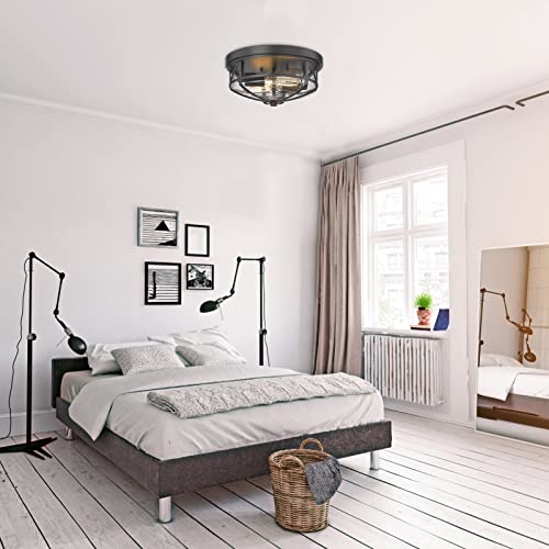 Darkaway Ceiling Light Fixtures Flush Mount Light Fixtures Ceiling with Clear Glass Shade, Indoor Outdoor Ceiling Light for Hallway Entryway Bedroom Porch Kitchen 2-Light E26