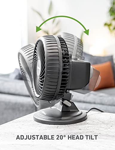 HOLMES BLIZZARD 7" Table Fan, 2 Speeds, 3 Blades, 85° Oscillation, 20° Adjustable Head, Home, Bedroom and Office, Charcoal Matte