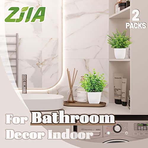 ZJIA 2 Packs Small Fake Plants Artificial Greenery Plants in Pots for Home Bedroom Bathroom Farmhouse Kitchen Decor Indoor