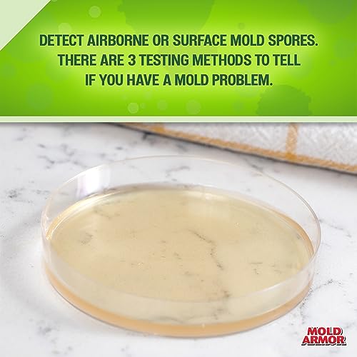 Mold Armor FG500 Do It Yourself Mold Test Kit, Gray