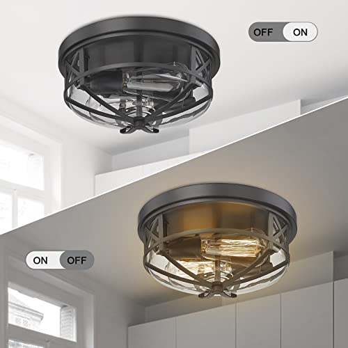 Darkaway Ceiling Light Fixtures Flush Mount Light Fixtures Ceiling with Clear Glass Shade, Indoor Outdoor Ceiling Light for Hallway Entryway Bedroom Porch Kitchen 2-Light E26