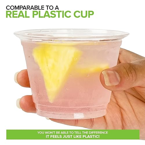 Stock Your Home 9 oz Clear Compostable Cold Cups (50 Pack) Plant Based Biodegradable No Plastic Eco Party Cup, Environmentally Friendly Recyclable Disposable Sustainable for Water, Wine & Beer Sample