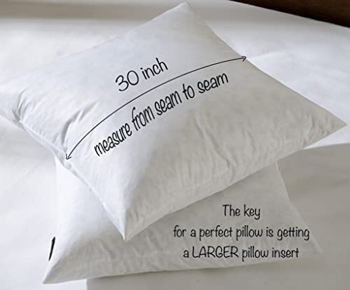 basic home Euro Pillow Inserts 30x30-Feather and Down Fill - Cotton Fabric