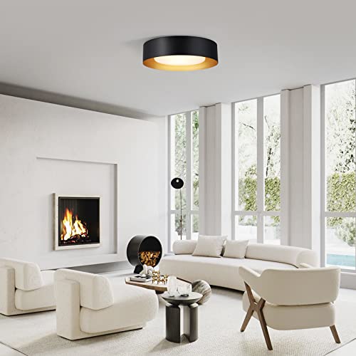 Vikaey Modern Flush Mount Ceiling Light, Minimalist Close to Ceiling Lighting Fixture, Acrylic Ceiling lamp for Living Room Dinning Room Bedroom, Black, 16.5''