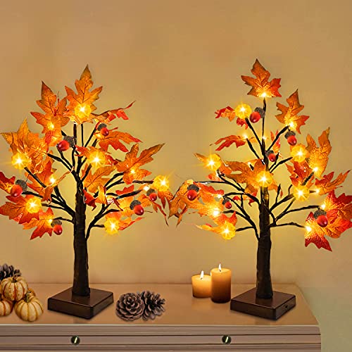 TURNMEON 2 Pack 18 Inch Prelit Fall Maple Tree with 48 LEDs Timer Battery Operated Lighted Pumpkins 6 Acorns Tabletop Artificial Autumn Fall Tree for Thanksgiving Fall Harvest Home Indoor