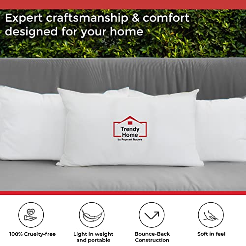 Trendy Home 12x18 Throw Pillow Insert, Cushion Sham Stuffer Hypoallergenic, Lumbar Support Decorative Home Outdoor Couch Bed Pillow Filler (Non Woven)