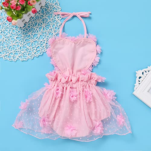 Newborn Photo Shooting Outfit Baby Girl First 1st Birthday 3D Flower Love Heart Backless Tutu Tulle Romper Dress Bodysuit Crown Headband Set One Year Old Party Photography Props Summer Pink Flower 12-18 Months