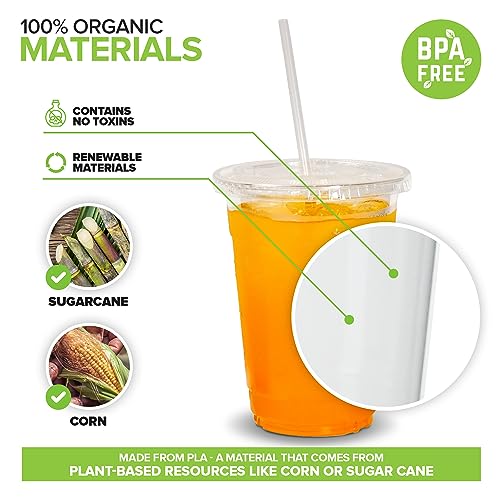 Stock Your Home 16 oz Clear Compostable Cups with Lids and Straws (Set of 50) Plant Based Biodegradable Cold Cups No Plastic Eco Party Cup, Environmentally Friendly Recyclable Disposable Sustainable