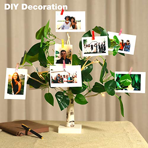 Bolylight Lighted Birch Tree Warm White Light Up Birch Tree Tabletop Small LED Tree Artificial Decorative Branch Tree Lamp for Christmas Holiday Home Party