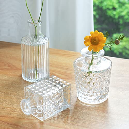 Glass Bud Vases Set of 30,Small Vases for Flowers,Glass Vases for Centerpieces,Clear Vases Bulk Mini Vases for Home Decor,Wedding Decor,Centerpieces,Party,Office