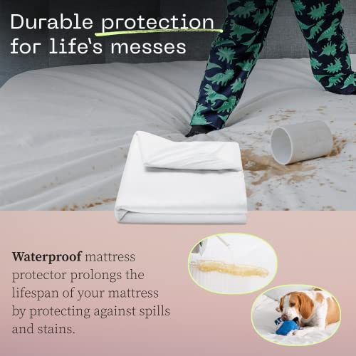 Coop Home Goods Ultra-Luxe Mattress Protector Queen - Smooth Top Mattress Pad, Waterproof Mattress Cover, Up to 18 Inches Deep, Machine Washable Mattress Topper, Noiseless and Comfort - Queen (60x80)