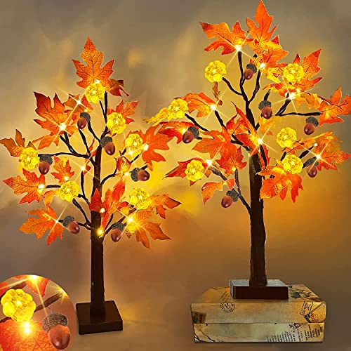 TURNMEON [ 2 Pack & Timer 24 Inch Lighted Maple Tree Fall Decor, Total 48 LED Battery Operated Tabletop Artificial Tree Design Patent Pumpkin & Acorn Thanksgiving Halloween Decoration Home Indoor