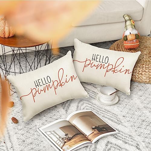 RABUSOFA Fall Throw Pillows Covers 12x20 Inch,Autumn Hello Pumpkin Pillows Decorative Throw Pillows,Lumbar Outdoor Thanksgiving Cushion Cover Farmhosue Fall Decor for Bedroom Couch Sofa White