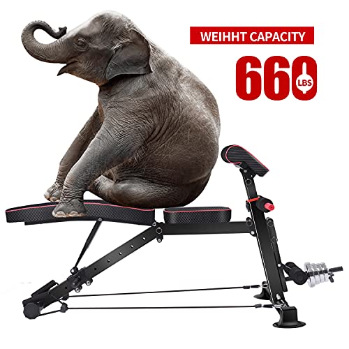 Adjustable Weight Bench - Utility Weight Benches for Full Body Workout, Foldable Flat/Incline/Decline Exercise Multi-Purpose Bench for Home Gym