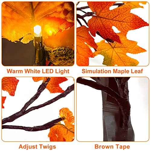 TURNMEON [ 2 Pack & Timer 24 Inch Lighted Maple Tree Fall Decor, Total 48 LED Battery Operated Tabletop Artificial Tree Design Patent Pumpkin & Acorn Thanksgiving Halloween Decoration Home Indoor