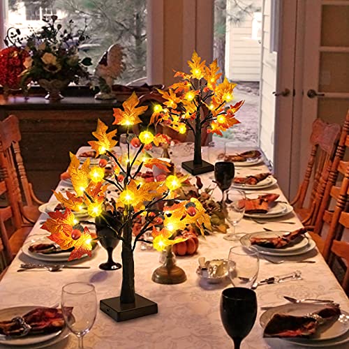 TURNMEON 2 Pack 18 Inch Prelit Fall Maple Tree with 48 LEDs Timer Battery Operated Lighted Pumpkins 6 Acorns Tabletop Artificial Autumn Fall Tree for Thanksgiving Fall Harvest Home Indoor