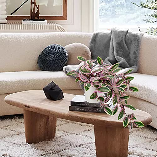GnFlus Fake Plants, 20 Inch Artificial Peperomia Watermelon Plant Faux Greenery Potted Vine in Ceramic Pot for Home Bedroom Office Table Shef Indoor Outdoor Decor - Style 1