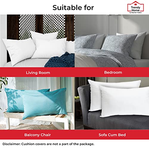 Trendy Home 12x18 Throw Pillow Insert, Cushion Sham Stuffer Hypoallergenic, Lumbar Support Decorative Home Outdoor Couch Bed Pillow Filler (Non Woven)