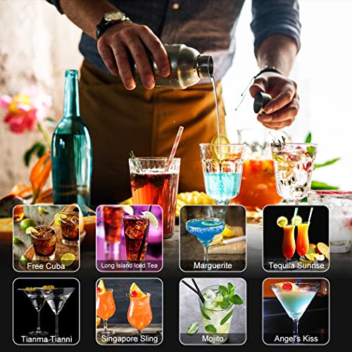 Cocktail Shaker Set, 23-Piece Stainless Steel Bartender Kit with Acrylic Stand & Cocktail Recipes Booklet, Professional Bar Tools for Drink Mixing, Home, Bar, Party (Include 4 Whiskey Stones)