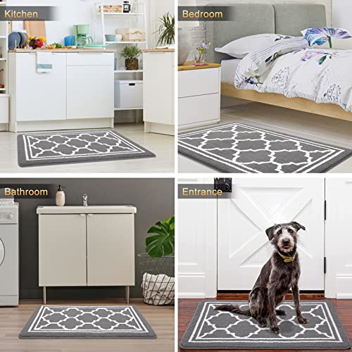 Buganda Indoor Door Mat, Resist Dirt and Absorbent Entrance Mat, Anti-Slip, Low Profile Inside Floor Mat Doormat for Entryway (32x20 inches, Grey)