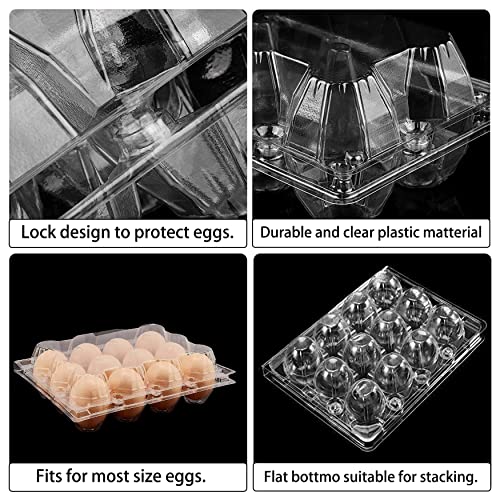 60 Pack Plastic Egg Cartons Cheap Bulk 1 Dozen Clear Empty Egg Cartons for Chicken Eggs, Reusable Egg Carton for Home Ranch Chicken Farm, Commercial Business Market Display, 3x4 Grids, M