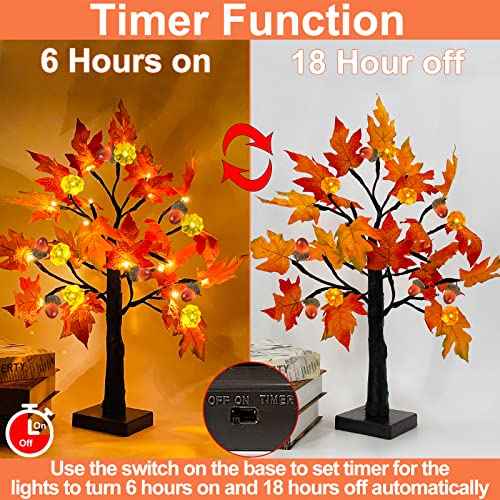 TURNMEON 2 Pack 18 Inch Prelit Fall Maple Tree with 48 LEDs Timer Battery Operated Lighted Pumpkins 6 Acorns Tabletop Artificial Autumn Fall Tree for Thanksgiving Fall Harvest Home Indoor