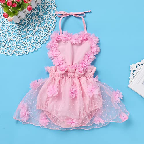 Newborn Photo Shooting Outfit Baby Girl First 1st Birthday 3D Flower Love Heart Backless Tutu Tulle Romper Dress Bodysuit Crown Headband Set One Year Old Party Photography Props Summer Pink Flower 12-18 Months