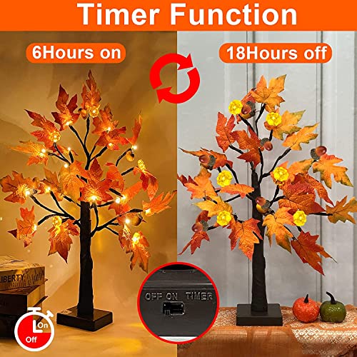 TURNMEON [ 2 Pack & Timer 24 Inch Lighted Maple Tree Fall Decor, Total 48 LED Battery Operated Tabletop Artificial Tree Design Patent Pumpkin & Acorn Thanksgiving Halloween Decoration Home Indoor