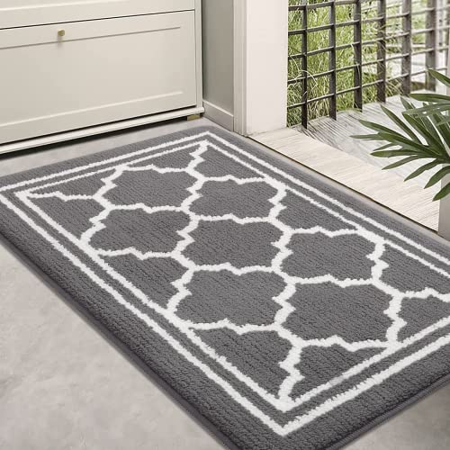 Buganda Indoor Door Mat, Resist Dirt and Absorbent Entrance Mat, Anti-Slip, Low Profile Inside Floor Mat Doormat for Entryway (32x20 inches, Grey)