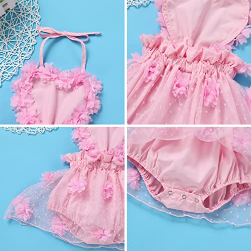 Newborn Photo Shooting Outfit Baby Girl First 1st Birthday 3D Flower Love Heart Backless Tutu Tulle Romper Dress Bodysuit Crown Headband Set One Year Old Party Photography Props Summer Pink Flower 12-18 Months