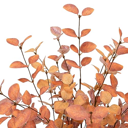 VGIA 6 Pcs Aritificial Eucalyptus Stems Fall Decorations with Fall Eucalyptus Leaves Stems Autumn Decorations with Fall Plants for Floral Arrangements